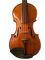Violina 2 Prednji trbuh